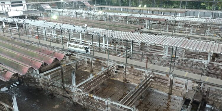 Sigue el conflicto con el campo ante la dificultad del gobierno para comprender que en el mercado de carne bovina no funciona el “comando automático”