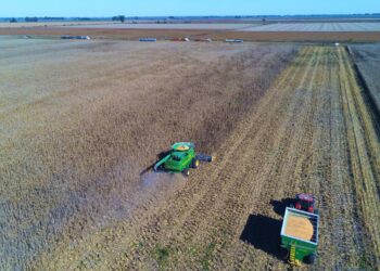 Los productores argentinos se suben a la “ola alcista” del maíz para comenzar a cubrir precios hasta de la cosecha 2021/22