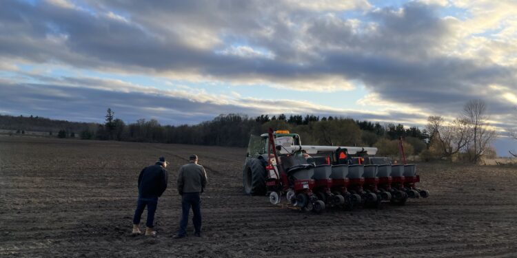 El maíz sigue sumando factores alcistas: Argentina es el único “negocio” abierto
