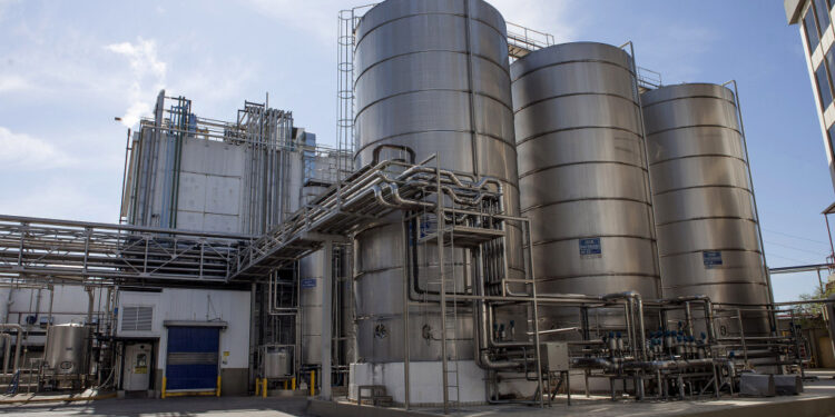 Tanto en Uruguay como en la Argentina la industria láctea viene aumentando el precio de la leche, aunque por razones diferentes