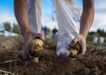Poco Feliz Día del Trabajador: En el último año el sector privado argentino perdió más de 210.000 empleos