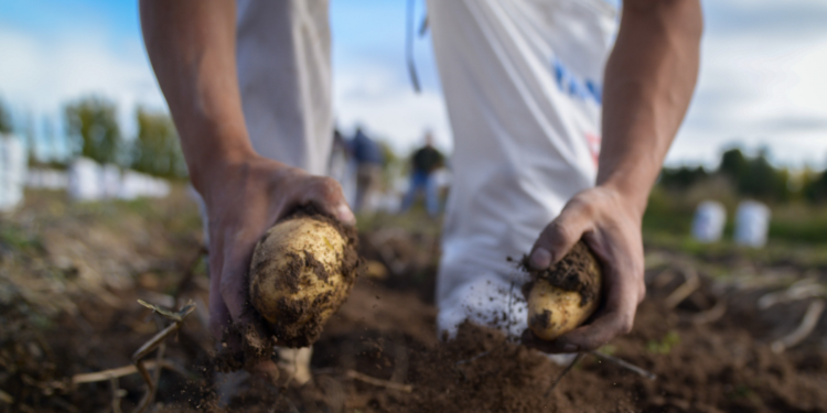 Poco Feliz Día del Trabajador: En el último año el sector privado argentino perdió más de 210.000 empleos