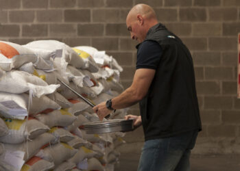 Luego de 26 años, se actualizaron las normas de calidad para comercializar porotos