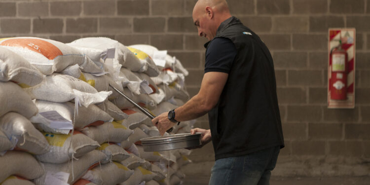 Luego de 26 años, se actualizaron las normas de calidad para comercializar porotos