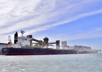 Con la bajante del Paraná pueden volver los “premios” para el maíz tardío en los puertos bonaerenses