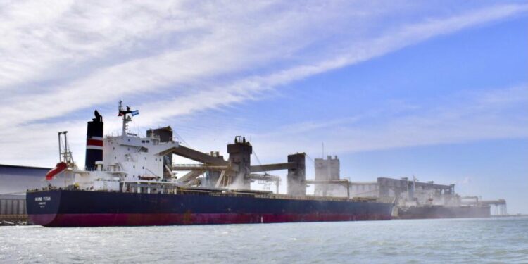 Con la bajante del Paraná pueden volver los “premios” para el maíz tardío en los puertos bonaerenses