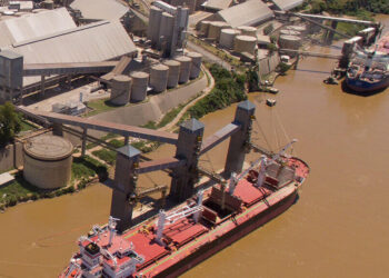 AgroEmpresas: Molinos Agro emitió ON por 53,8 millones de dólares mientras avanza el plan para quedarse con Vicentin