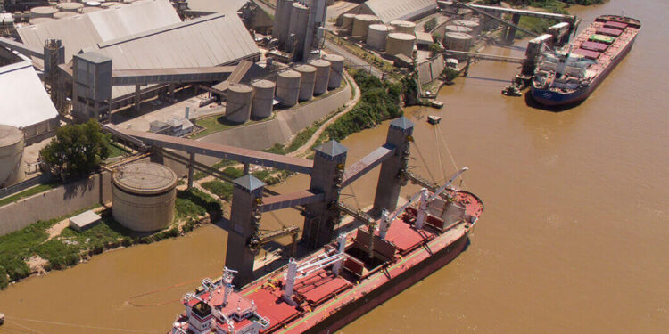 AgroEmpresas: Molinos Agro emitió ON por 53,8 millones de dólares mientras avanza el plan para quedarse con Vicentin