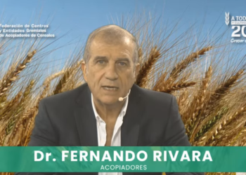 El debate por el trigo transgénico volvió a generar múltiples cruces y chicanas en la cadena cerealera