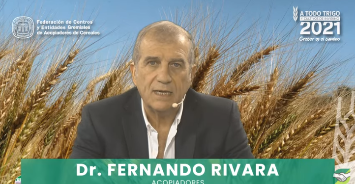 El debate por el trigo transgénico volvió a generar múltiples cruces y chicanas en la cadena cerealera