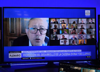 Se aprobó el dictamen del proyecto de renovación de la promoción ovina con un fondo anual de 850 millones de pesos