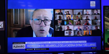 Se aprobó el dictamen del proyecto de renovación de la promoción ovina con un fondo anual de 850 millones de pesos