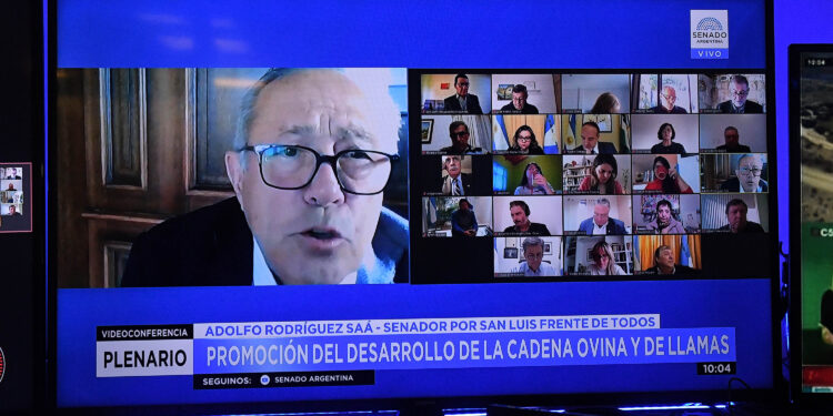 Se aprobó el dictamen del proyecto de renovación de la promoción ovina con un fondo anual de 850 millones de pesos