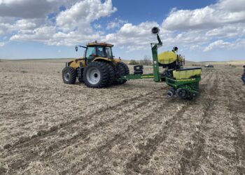 Esta semana el maíz logró zafar de la avalancha bajista liderada por los fondos de inversión (que se llevaron puesta a la soja)