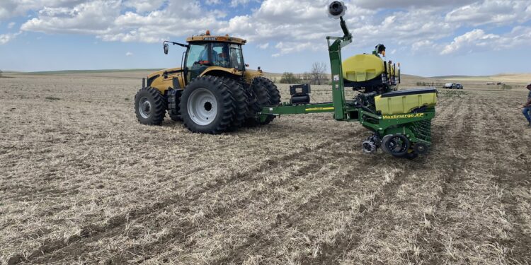 Esta semana el maíz logró zafar de la avalancha bajista liderada por los fondos de inversión (que se llevaron puesta a la soja)