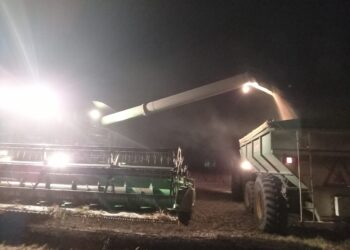 Sorpresa en el sur de Córdoba con rindes de soja de hasta 45 qq/ha que deslucen aún más la pobre actuación de la zona núcleo pampeana