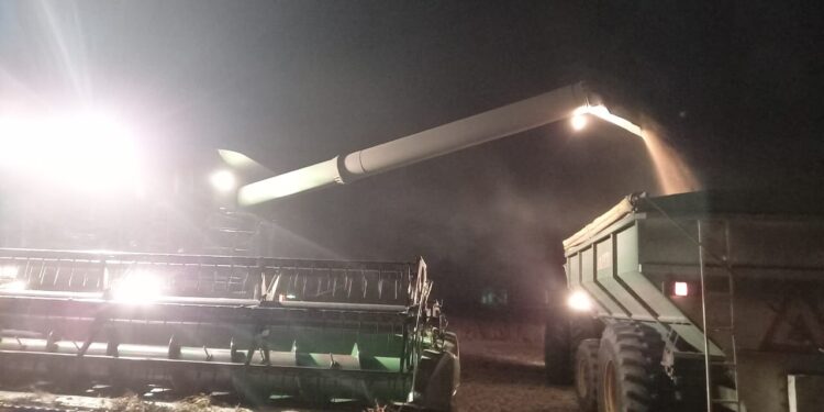 Sorpresa en el sur de Córdoba con rindes de soja de hasta 45 qq/ha que deslucen aún más la pobre actuación de la zona núcleo pampeana