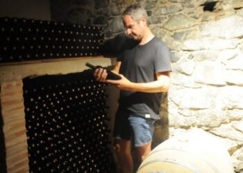 Franco Tomaselli decidió recuperar la tradición vinícola de su familia en Traslasierra y fundó una de las 17 bodegas que ya existen en Córdoba