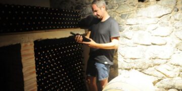 Franco Tomaselli decidió recuperar la tradición vinícola de su familia en Traslasierra y fundó una de las 17 bodegas que ya existen en Córdoba