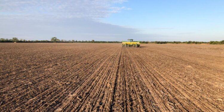 En pleno inicio de la siembra de trigo los productores argentinos ya vendieron por anticipado casi tres millones de toneladas
