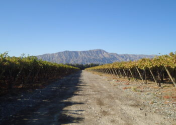 Avanza en el Congreso una iniciativa para compatibilizar trabajos temporarios en el agro con el cobro de planes sociales