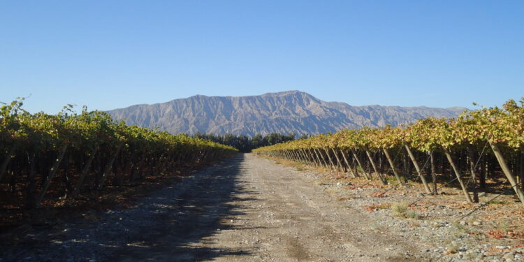 Avanza en el Congreso una iniciativa para compatibilizar trabajos temporarios en el agro con el cobro de planes sociales
