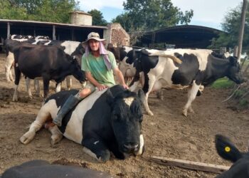 Crónicas Robadas: “¡Ey, Tres poderes del Estado, escúchenme y hagan algo!”, clama un pequeño tambero jaqueado por la inseguridad rural