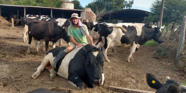 Crónicas Robadas: “¡Ey, Tres poderes del Estado, escúchenme y hagan algo!”, clama un pequeño tambero jaqueado por la inseguridad rural