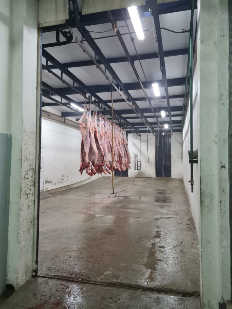 Gisele Remorini es la única ‘compradora’ de hacienda en el Mercado de Liniers: “Por más que seas mujer, el que remata siempre busca el precio más alto”, aclara