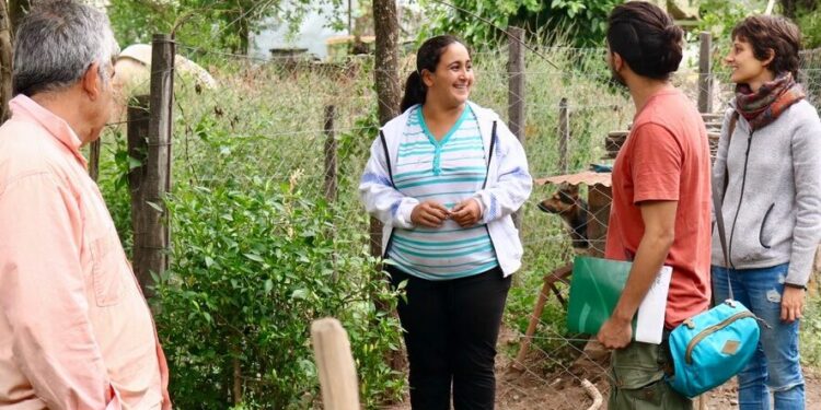 ¿Qué me conviene sembrar ahora? Lanzan una App que responde las preguntas más elementales para manejar una huerta