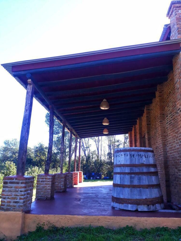 Franco Tomaselli decidió recuperar la tradición vinícola de su familia en Traslasierra y fundó una de las 17 bodegas que ya existen en Córdoba