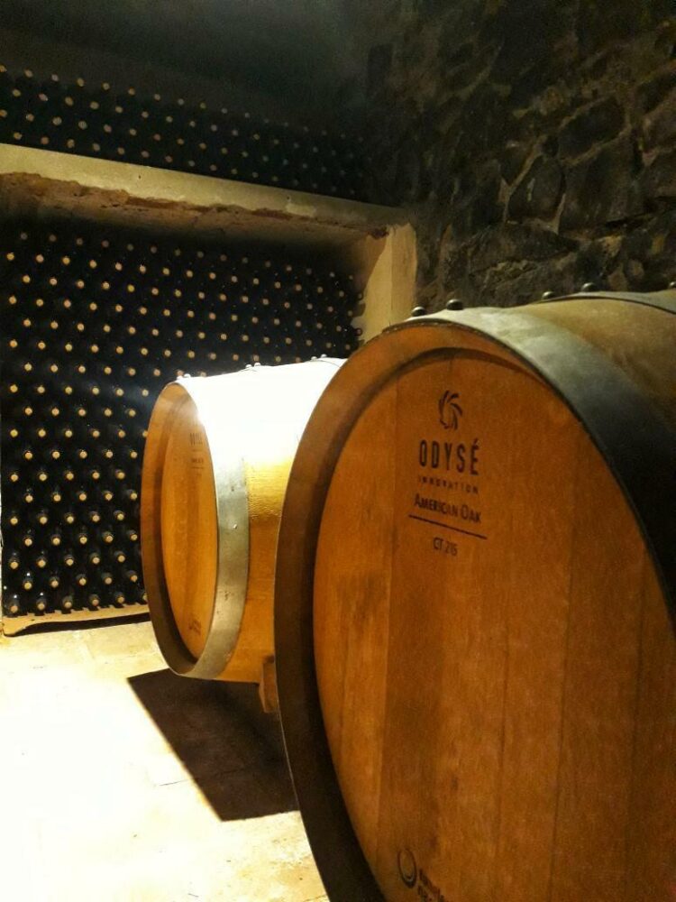 Franco Tomaselli decidió recuperar la tradición vinícola de su familia en Traslasierra y fundó una de las 17 bodegas que ya existen en Córdoba