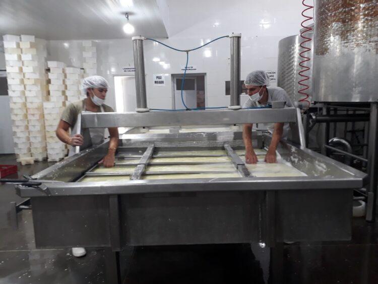 Benjamin Romaniuk elabora quesos en el paraje De Bary: “Aprendí el oficio de los queseros viejos y luego me fui perfeccionando”