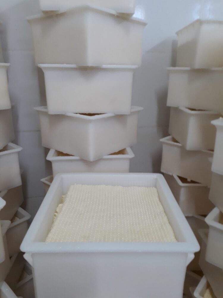 Benjamin Romaniuk elabora quesos en el paraje De Bary: “Aprendí el oficio de los queseros viejos y luego me fui perfeccionando”