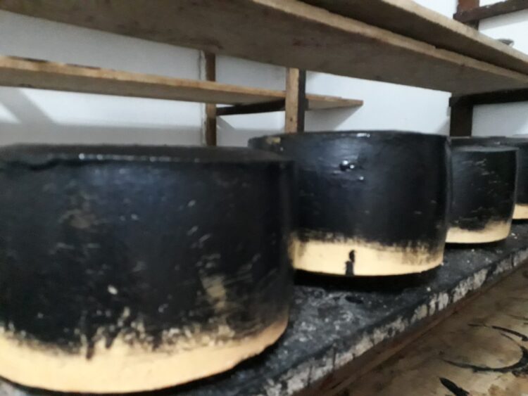 Benjamin Romaniuk elabora quesos en el paraje De Bary: “Aprendí el oficio de los queseros viejos y luego me fui perfeccionando”