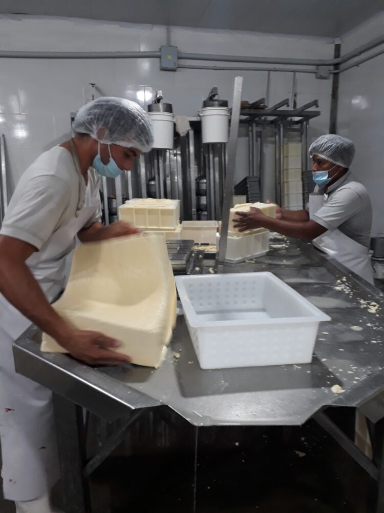 Benjamin Romaniuk elabora quesos en el paraje De Bary: “Aprendí el oficio de los queseros viejos y luego me fui perfeccionando”