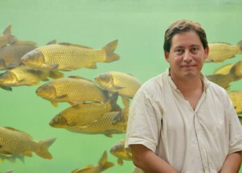 ¿Qué ambientes naturales queremos conservar? Según el naturalista Gustavo Aparicio, no existen lugares “prístinos” y muchos ya fueron modificados por la presencia del hombre