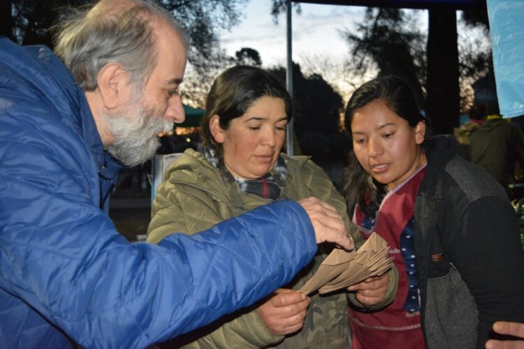 Por la vuelta del tomate con gusto a tomate: Un grupo de investigadores trabaja en el rescate de las viejas variedades