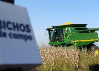 Contratistas: Desde Curarú, la familia Ronzitti suma tres generaciones en la línea de fuego de las cosechas