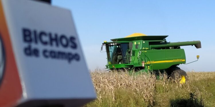 Contratistas: Desde Curarú, la familia Ronzitti suma tres generaciones en la línea de fuego de las cosechas