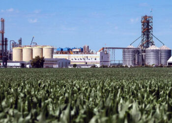 ¿Qué opinan los productores de biocombustibles sobre la prórroga por 60 días del régimen vigente?