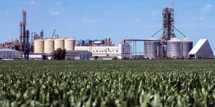 ¿Qué opinan los productores de biocombustibles sobre la prórroga por 60 días del régimen vigente?