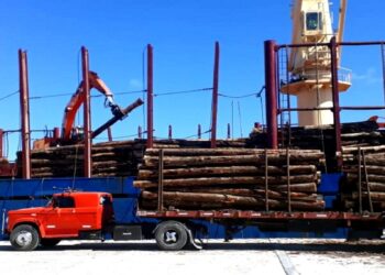 El sector forestal advierte que la exportación de madera como materia prima sin industrializar está desabasteciendo los aserraderos locales
