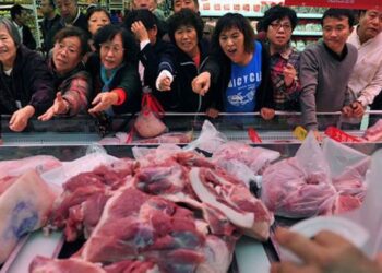 Cuando las broncas vienen marchando: Siete miradas para entender por qué enoja tanto el cierre de exportaciones de carne