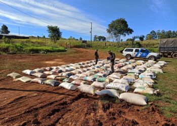 En un heroico operativo agentes de Prefectura Naval lograron decomisar un peligroso cargamento de maíz