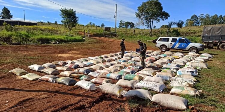 En un heroico operativo agentes de Prefectura Naval lograron decomisar un peligroso cargamento de maíz
