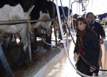 Pregunten a Cristina, que ella sabe: El cierre de las exportaciones de carne podría ser el golpe de gracia para los tamberos