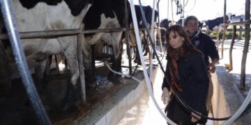 Pregunten a Cristina, que ella sabe: El cierre de las exportaciones de carne podría ser el golpe de gracia para los tamberos