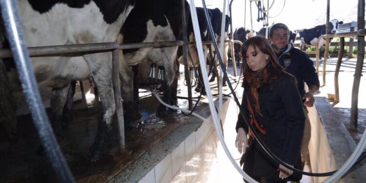 Pregunten a Cristina, que ella sabe: El cierre de las exportaciones de carne podría ser el golpe de gracia para los tamberos