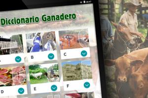 Diccionario básico para entender cómo puede seguir el conflicto por el cierre de las exportaciones de carne